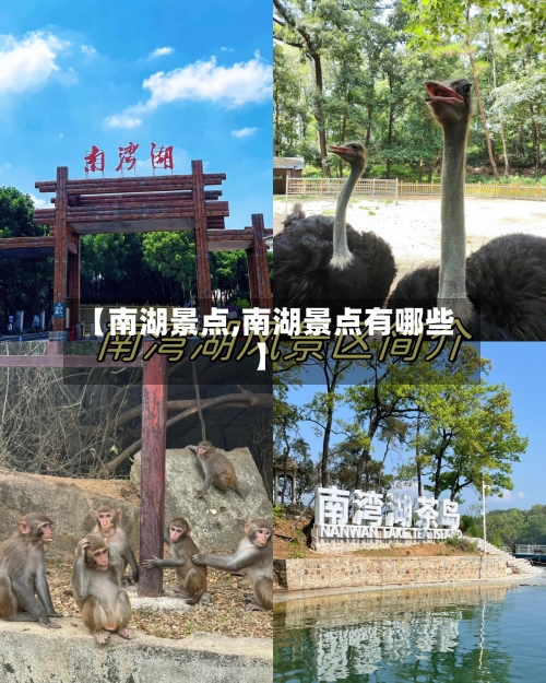 【南湖景点,南湖景点有哪些】-第2张图片