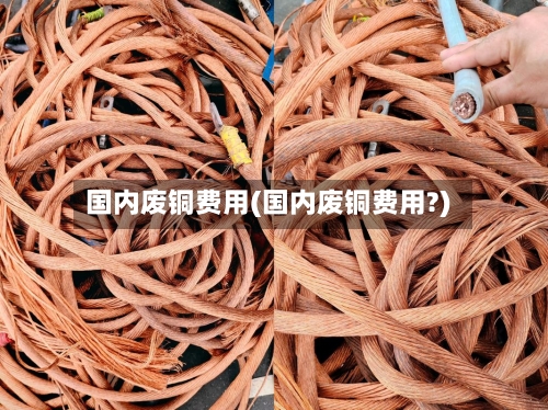 国内废铜费用(国内废铜费用?)