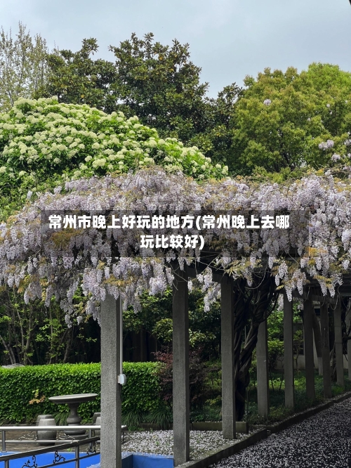 常州市晚上好玩的地方(常州晚上去哪玩比较好)-第3张图片