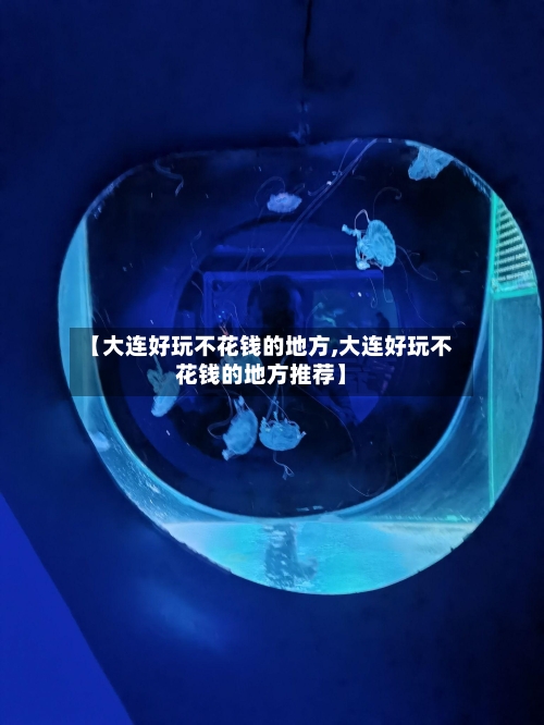 【大连好玩不花钱的地方,大连好玩不花钱的地方推荐】-第2张图片