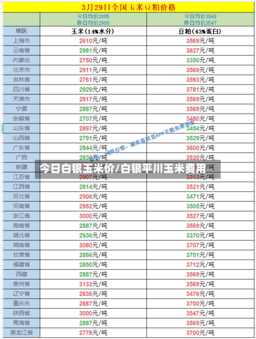 今日白银玉米价/白银平川玉米费用-第2张图片
