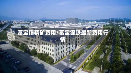 富宝锡精矿费用/富宝镍铁最新费用行情-第3张图片