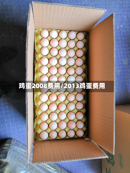 鸡蛋2008费用/2013鸡蛋费用-第3张图片