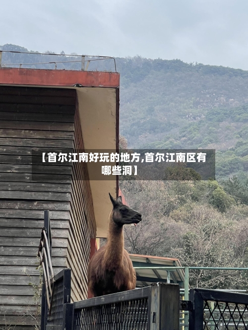【首尔江南好玩的地方,首尔江南区有哪些洞】