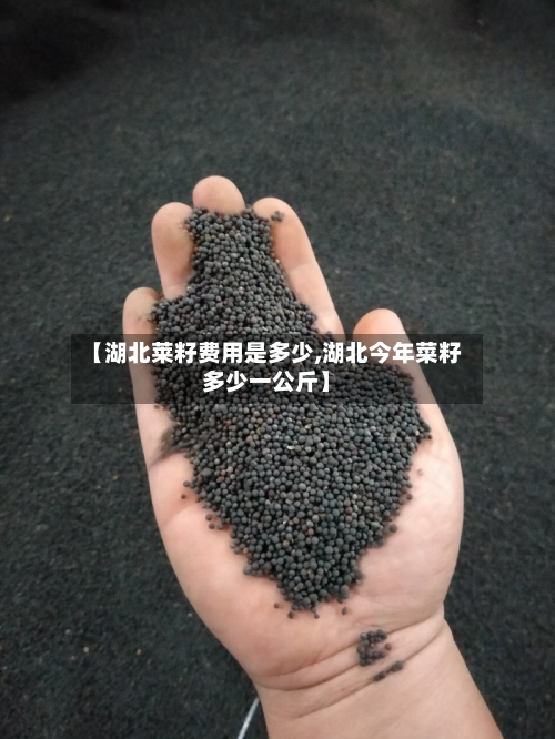 【湖北莱籽费用是多少,湖北今年菜籽多少一公斤】