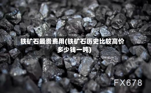 铁矿石最贵费用(铁矿石历史比较高价多少钱一吨)