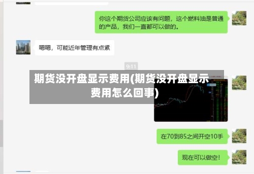 期货没开盘显示费用(期货没开盘显示费用怎么回事)-第3张图片