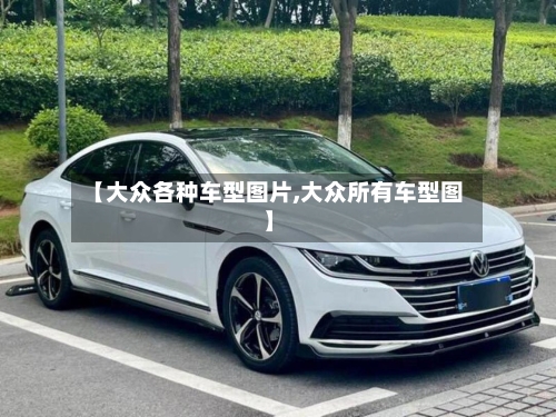 【大众各种车型图片,大众所有车型图】-第2张图片