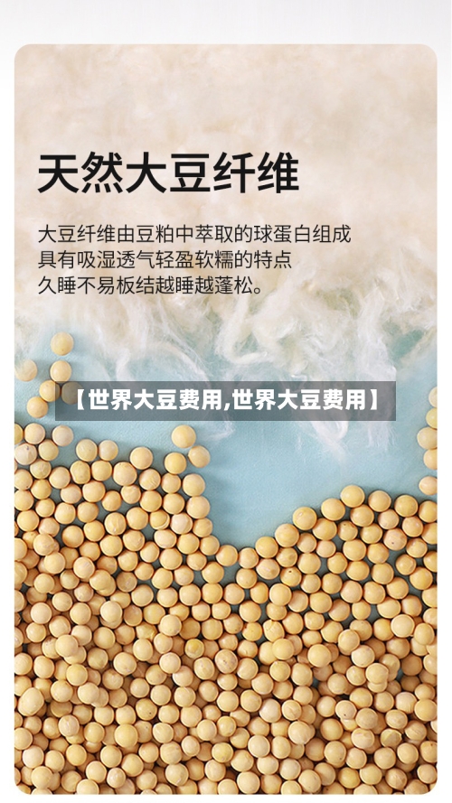【世界大豆费用,世界大豆费用】-第3张图片