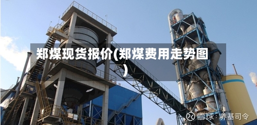 郑煤现货报价(郑煤费用走势图)