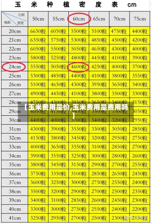 【玉米费用是价,玉米费用是费用吗】-第1张图片