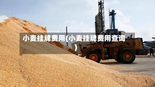 小麦挂牌费用(小麦挂牌费用查询)