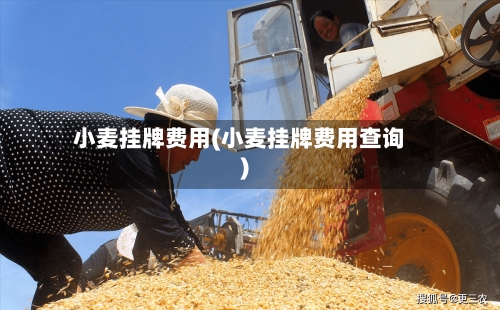 小麦挂牌费用(小麦挂牌费用查询)-第2张图片
