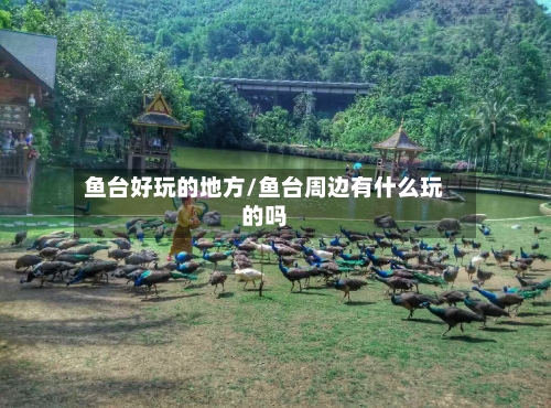 鱼台好玩的地方/鱼台周边有什么玩的吗
