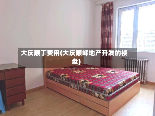 大庆顺丁费用(大庆顺峰地产开发的楼盘)