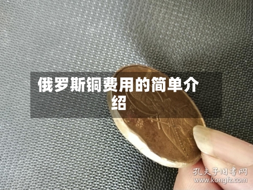 俄罗斯铜费用的简单介绍