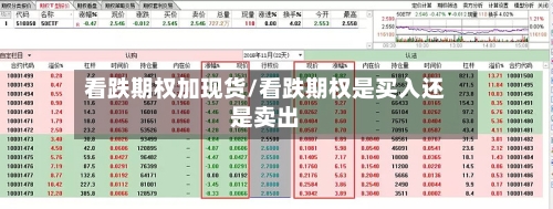 看跌期权加现货/看跌期权是买入还是卖出