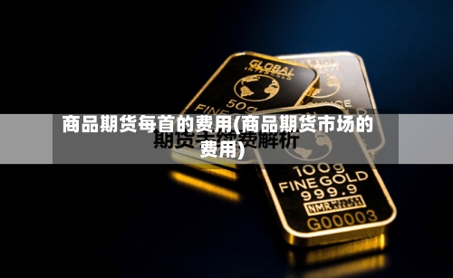 商品期货每首的费用(商品期货市场的费用)