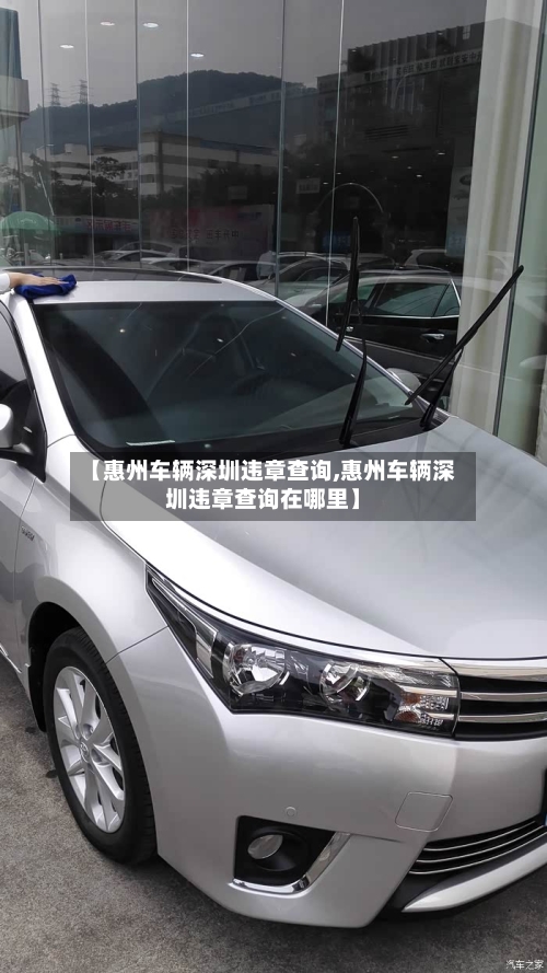 【惠州车辆深圳违章查询,惠州车辆深圳违章查询在哪里】