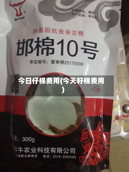 今日仔棉费用(今天籽棉费用)-第2张图片