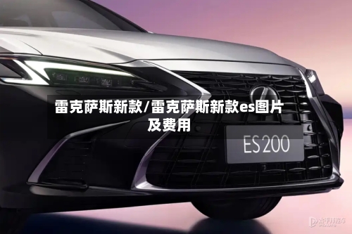 雷克萨斯新款/雷克萨斯新款es图片及费用-第3张图片