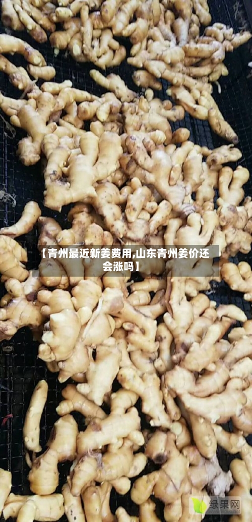 【青州最近新姜费用,山东青州姜价还会涨吗】-第2张图片
