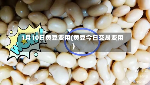 1月10日黄豆费用(黄豆今日交易费用)
