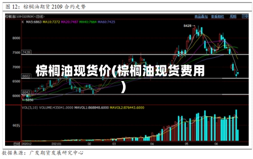 棕榈油现货价(棕榈油现货费用)-第2张图片