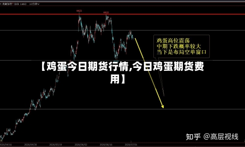 【鸡蛋今日期货行情,今日鸡蛋期货费用】-第2张图片