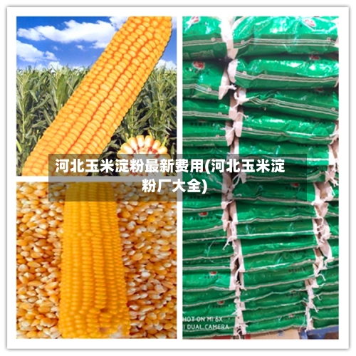 河北玉米淀粉最新费用(河北玉米淀粉厂大全)