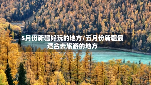 5月份新疆好玩的地方/五月份新疆最适合去旅游的地方