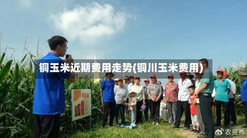 铜玉米近期费用走势(铜川玉米费用)