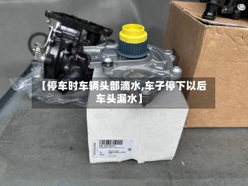 【停车时车辆头部滴水,车子停下以后车头漏水】