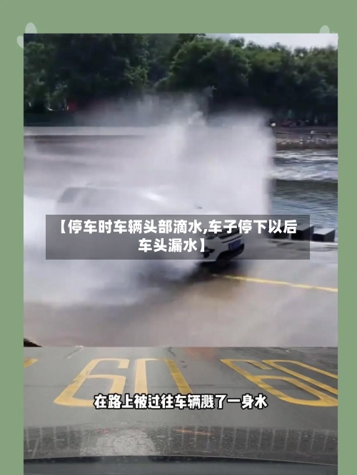 【停车时车辆头部滴水,车子停下以后车头漏水】-第2张图片