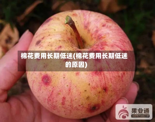 棉花费用长期低迷(棉花费用长期低迷的原因)