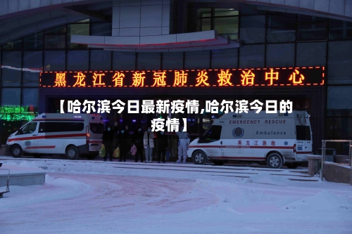 【哈尔滨今日最新疫情,哈尔滨今日的疫情】-第2张图片