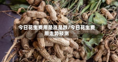 今日花生费用是涨是跌/今日花生费用走势预测