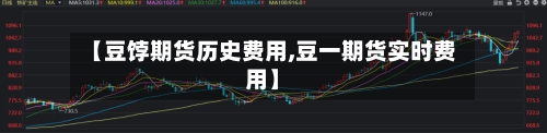 【豆饽期货历史费用,豆一期货实时费用】-第2张图片