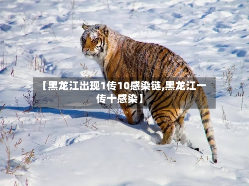 【黑龙江出现1传10感染链,黑龙江一传十感染】-第2张图片