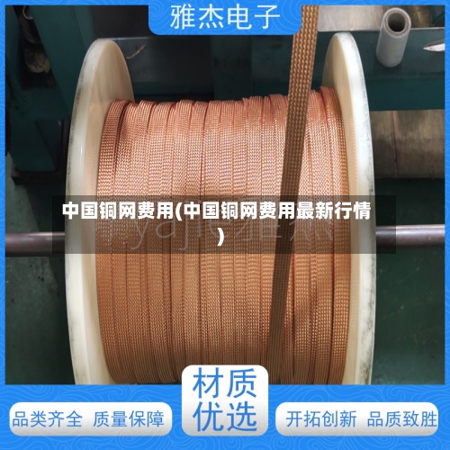 中国铜网费用(中国铜网费用最新行情)-第3张图片