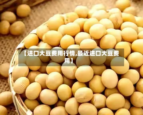 【进口大豆费用行情,最近进口大豆费用】-第2张图片