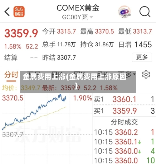 金属费用上涨(金属费用上涨原因)-第2张图片