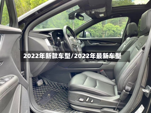 2022年新款车型/2022年最新车型