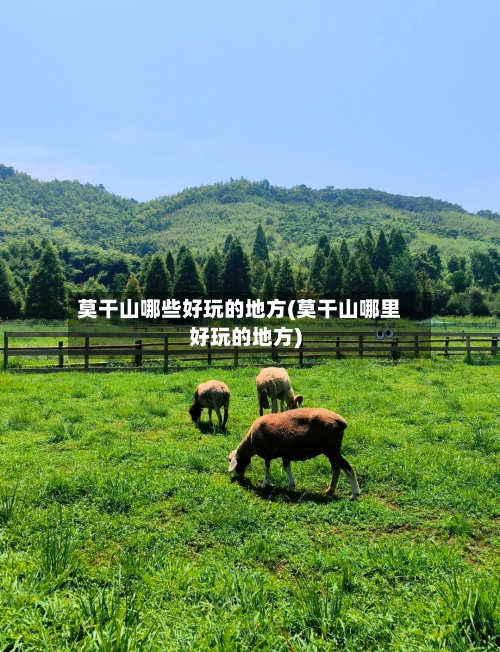 莫干山哪些好玩的地方(莫干山哪里好玩的地方)-第3张图片