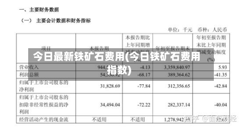 今日最新铁矿石费用(今日铁矿石费用指数)