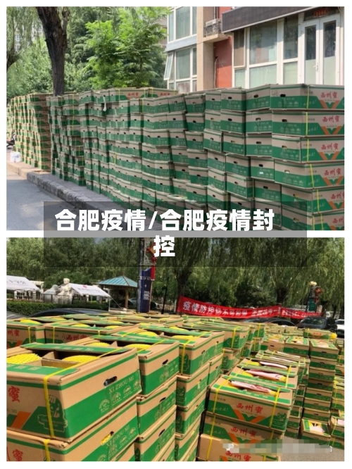 合肥疫情/合肥疫情封控-第3张图片
