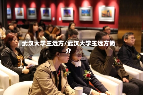 武汉大学王远方/武汉大学王远方简介