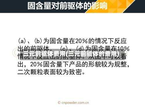 三元前驱体费用(三元前驱体的费用)