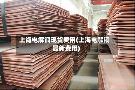 上海电解铜现货费用(上海电解铜最新费用)-第3张图片