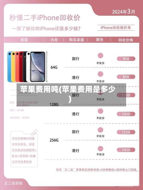 苹果费用吨(苹果费用是多少)-第2张图片